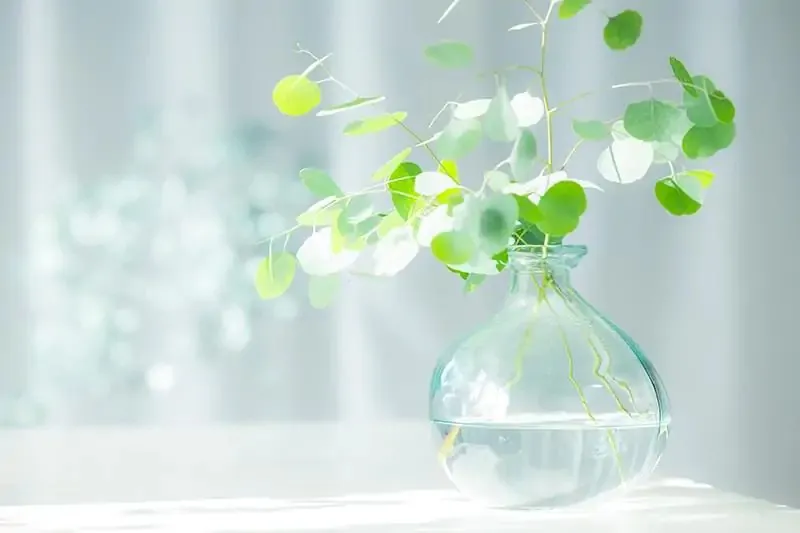 目的に合わせて選べる施術をご提供